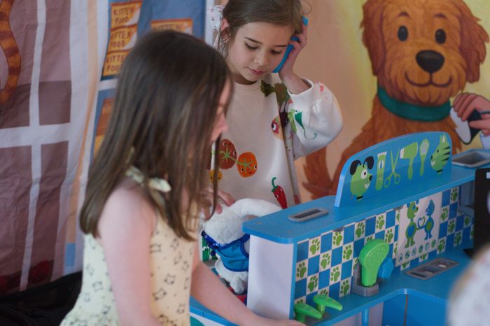 Wonder Village Childrens Parties vet jpg